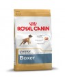 Royal Canin Boxer Junior 30