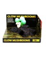 EXO TERRA GLOW MUSHROOMS (Setas Fluorescentes)