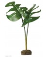 EXO TERRA Planta Philodendron