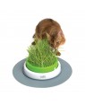 Catit senses 2.0 geminador hierba gatera para gatos