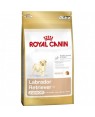 Royal Canin Labrador Retriever Junior 33