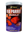 Red parrot