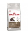 Royal Canin Feline Ageing +12 