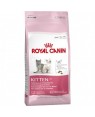 Royal Canin Feline Kitten 36