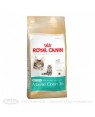 Royal Canin Feline Kitten Maine Coon 36