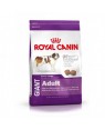 Royal Canin Giant Adult 