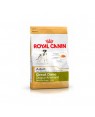 Royal Canin Gran Danes