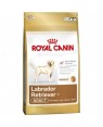 Royal Canin Labrador Retriever Adulto