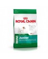 Royal Canin Mini Junior