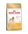 Royal Canin Poodle caniche adulto pienso perro