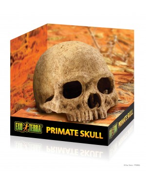 EXO TERRA PRIMATE SKULL GRANDE