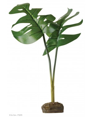 EXO TERRA Planta Philodendron