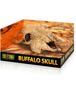 EXO TERRA BUFFALO SKULL