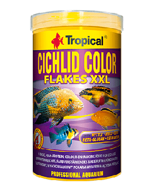 Tropical Cichlid color cíclidos omnívoros y carnívoros