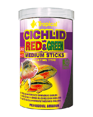 Cichlid red green medium