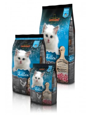 Comida para gatos hasta un año Leonardo Kitten