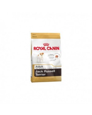 Royal Canin Jack Russell 