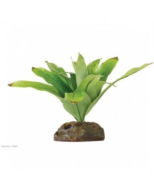 EXO TERRA SMART bromelia