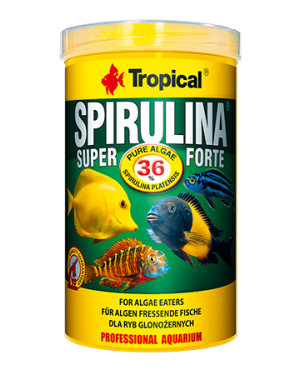 Tropical Super spirulina forte 36% escama peces