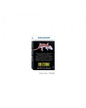 EXO TERRA calcium Calcio en Polvo para reptiles