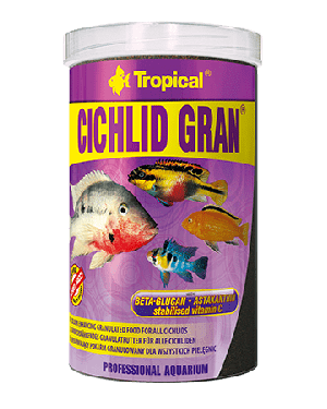 Cichlid gran