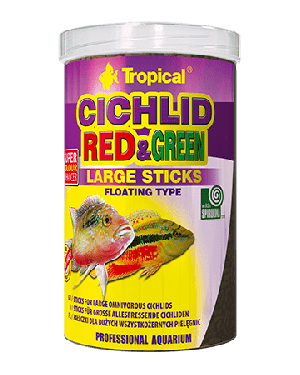 Cichlid red & green large