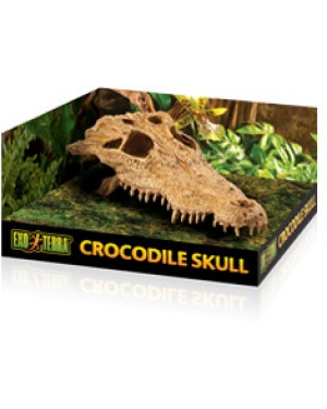 EXO TERRA CROCODILE SKULL