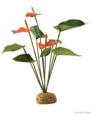 EXO TERRA ARBUSTO ANTHURIUM