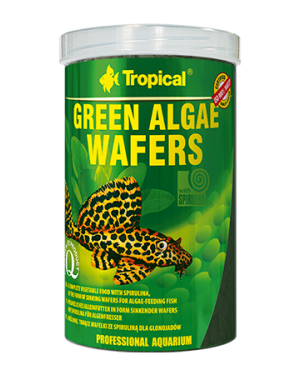 Tropical Green Algae Wafers galletas spirulina