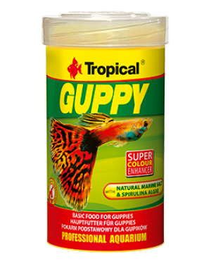 Tropical Guppy alimento para peces guppy