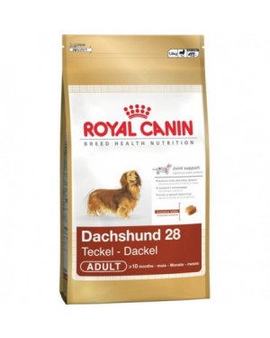 Royal Canin Dachshund