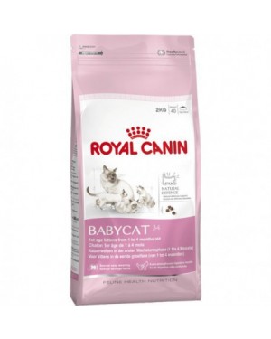 Royal Canin Feline Babycat 34