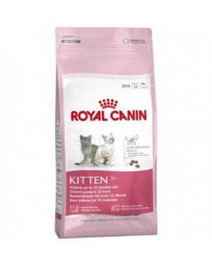 Royal Canin Feline Kitten 36