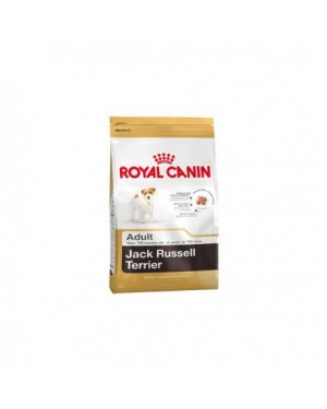 Royal Canin Jack Russell 