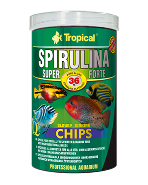 Tropical Super spirulina forte chips vegetal