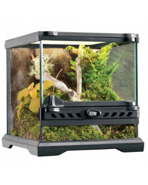 EXO TERRA terrario de cristal nano reptiles