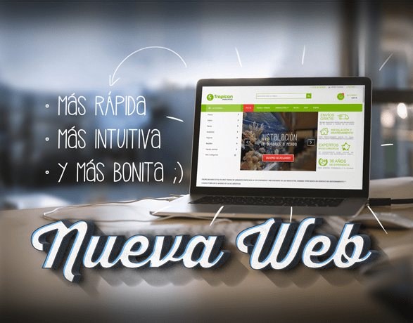 NUEVA WEB