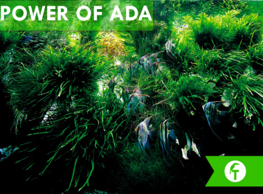 The Power of ADA: Filosofía de ADA