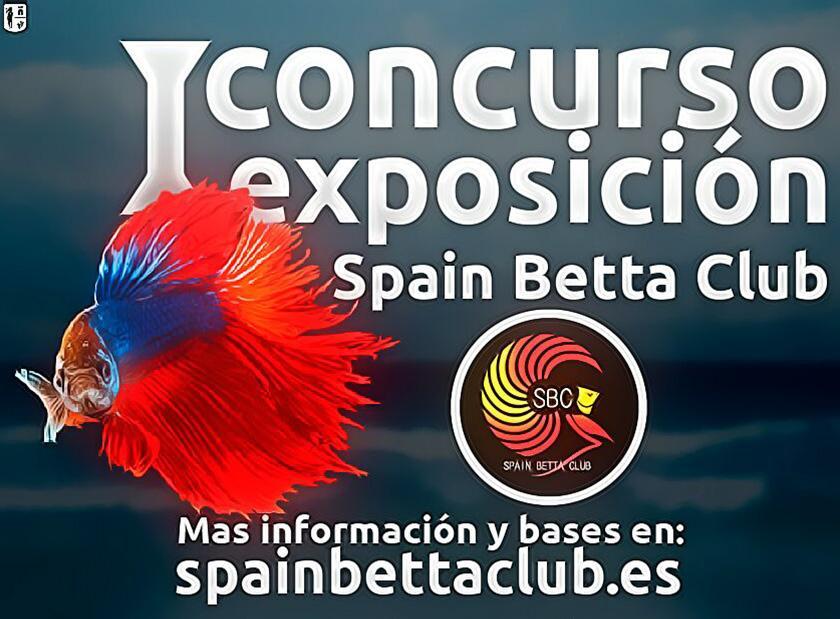 I Concurso de exposición peces bettas.