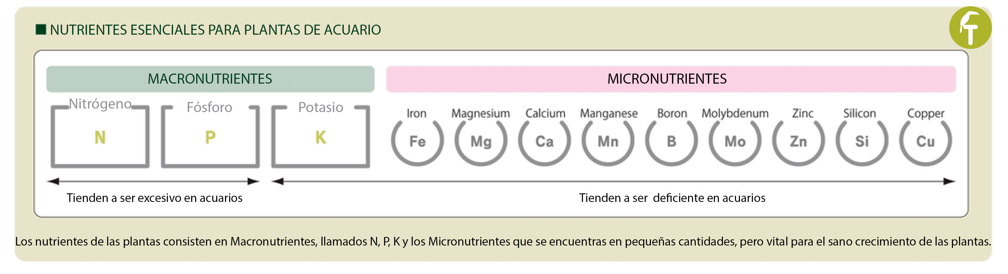 nutrientes en los acuarios